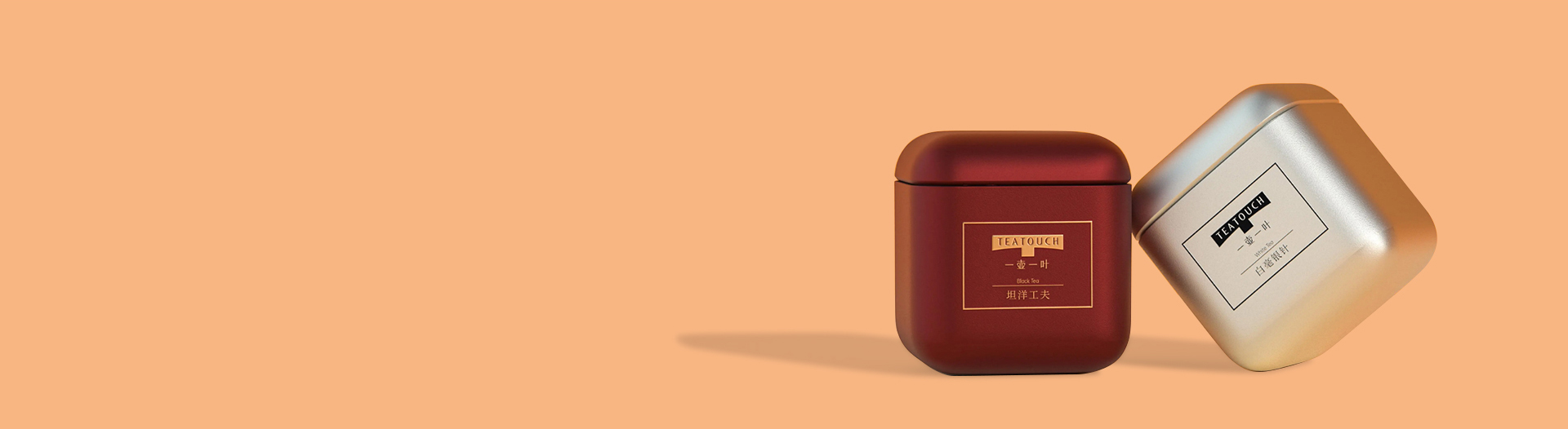 Tin packaging case inspiration