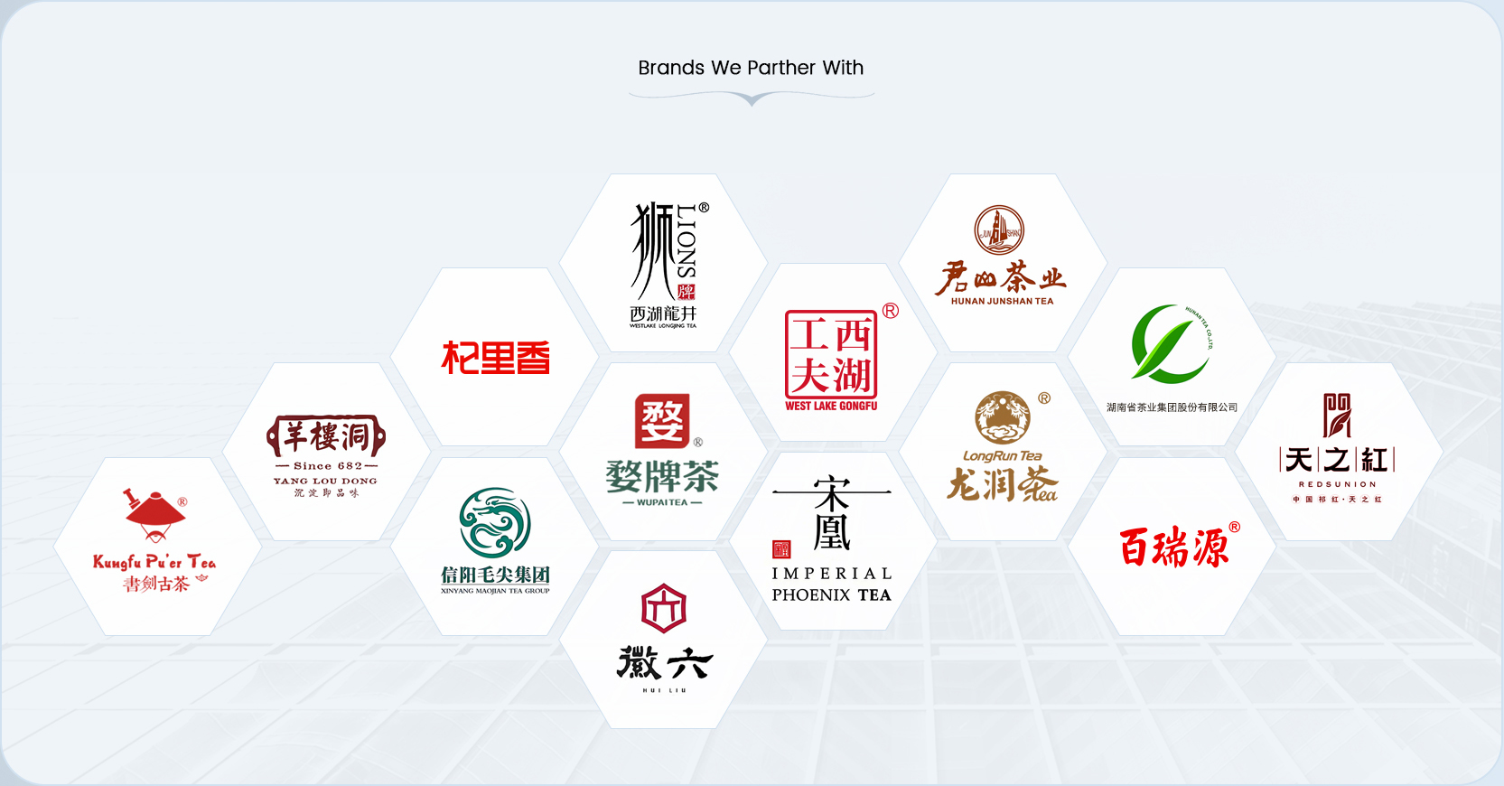 Brands We Partner With